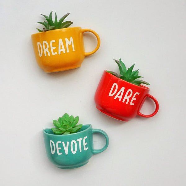 Dream Dare Devote Cup Planters - Affirmations Mug Planters -   Wall Garden Decor - Balcony Decor - Succulent Planter - Small Pot - Plant Lover Gifts - Desk Decor - Buy Online India - Free Shipping